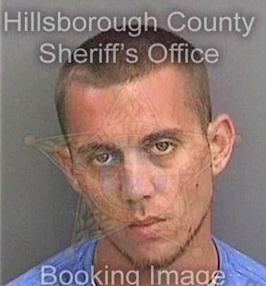 Sheehy Thomas - Hillsborough County, FL 