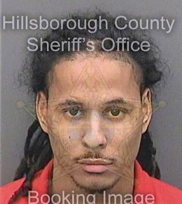 Tineo Edwin - Hillsborough County, FL 