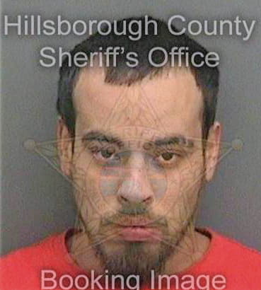 Ferguson James - Hillsborough County, FL 