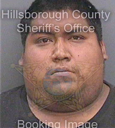 Mendoza Ricardo - Hillsborough County, FL 