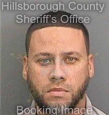 Pena Reinaldo - Hillsborough County, FL 