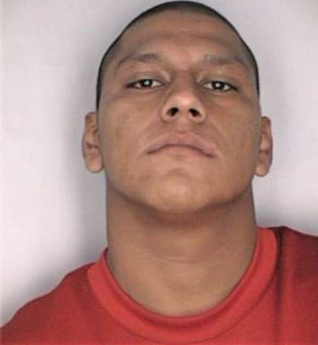 Medrano Rufino - Hillsborough County, FL 
