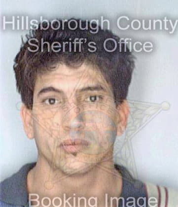 Diaz William - Hillsborough County, FL 