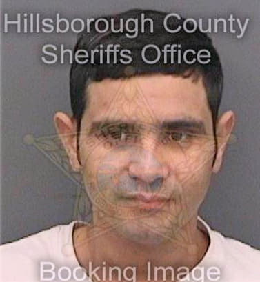 Torrez-Guzman Jose - Hillsborough County, FL 