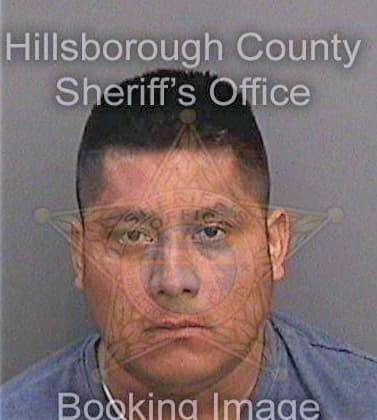 Ramirez Alexander - Hillsborough County, FL 