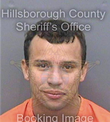 Scott Andrew - Hillsborough County, FL 