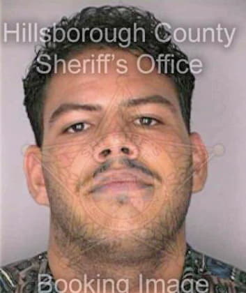 Santiago Edwin - Hillsborough County, FL 