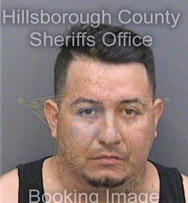 Jimenezleon Ricardo - Hillsborough County, FL 