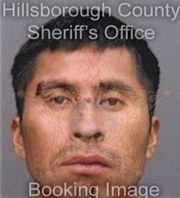 Lopezlopez Salvador - Hillsborough County, FL 