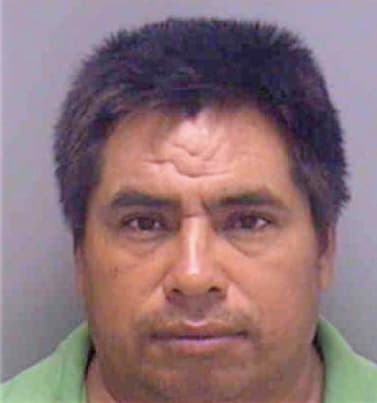 Andres Pedro - Lee County, FL 