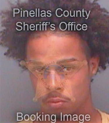 Davis Andrew - Pinellas County, FL 