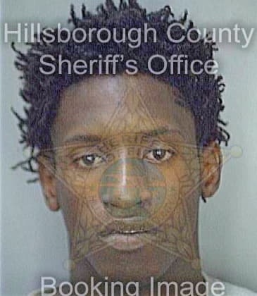 Mierkey Evan - Hillsborough County, FL 