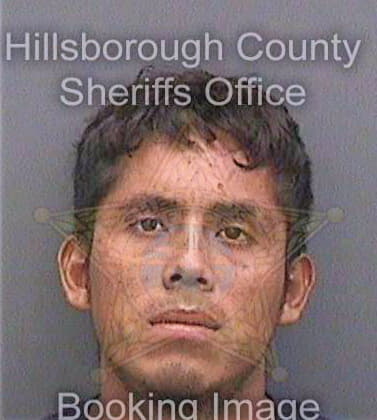 Hernandez Jorge - Hillsborough County, FL 
