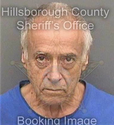 Diazgarcia Francisco - Hillsborough County, FL 