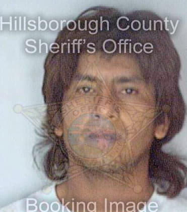 Medina Otilio - Hillsborough County, FL 