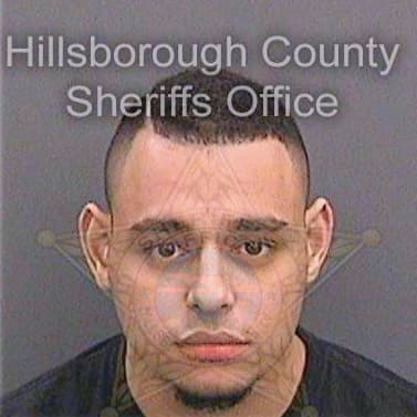 Nunez Raphael - Hillsborough County, FL 