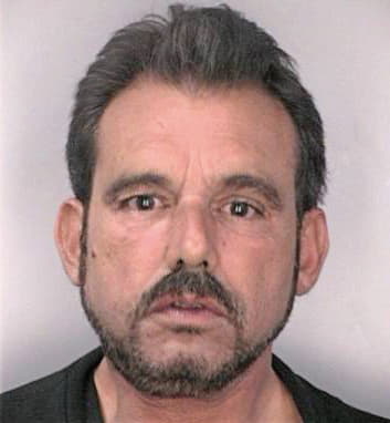Menendez Auarelio - Hillsborough County, FL 
