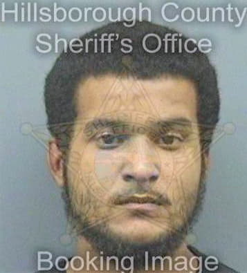 Delgado Rogelio - Hillsborough County, FL 