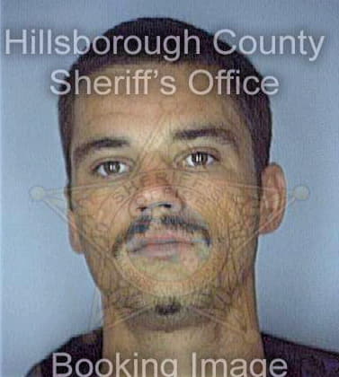 Mcdurfee Mark - Hillsborough County, FL 