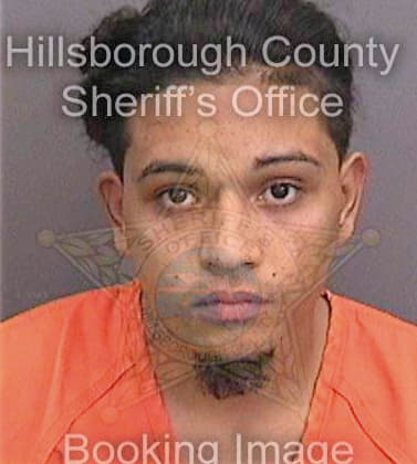 Colon Jose - Hillsborough County, FL 