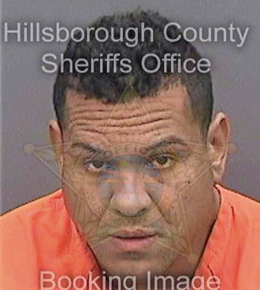 Reyes Carlos - Hillsborough County, FL 