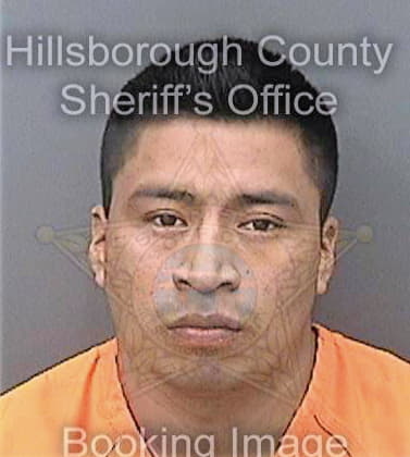 Tebalansarat Mario - Hillsborough County, FL 