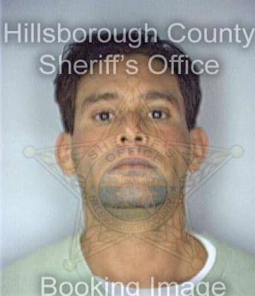 Mauro Scott - Hillsborough County, FL 