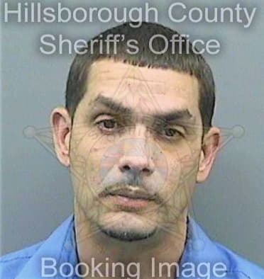 Santiago Alan - Hillsborough County, FL 