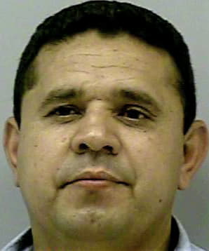 Hernandez Jose - Gwinnett County, GA 