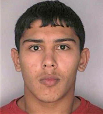 Silva William - Hillsborough County, FL 