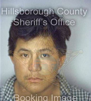 Mendez Augustin - Hillsborough County, FL 