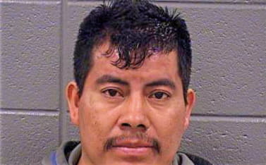 Gonzalez Ramiro - Cook County, IL 