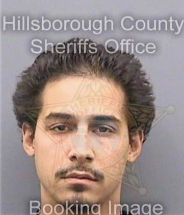 Torres Alex - Hillsborough County, FL 