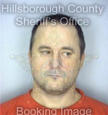 Mcdonald Roger - Hillsborough County, FL 
