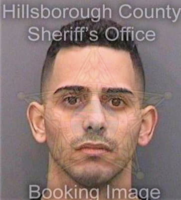 Nunez Olian - Hillsborough County, FL 