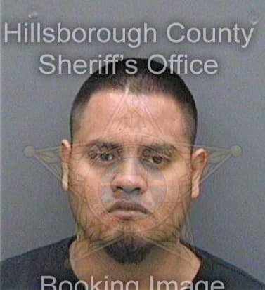 Delacruzgarcia Byron - Hillsborough County, FL 