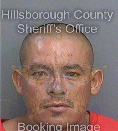 Ortega Gerardo - Hillsborough County, FL 