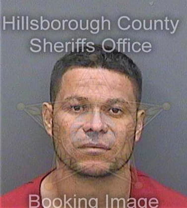 Calderon Leswin - Hillsborough County, FL 