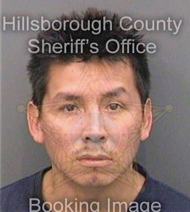 Balderama Alvaro - Hillsborough County, FL 