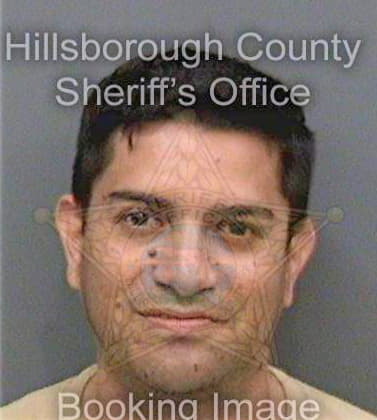 Jiminez Edilberto - Hillsborough County, FL 