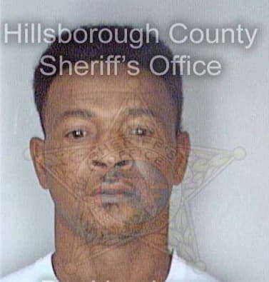 Mcfadden Curtis - Hillsborough County, FL 