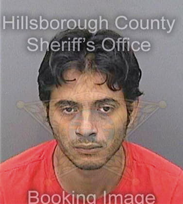 Sanchezhernandez Fredy - Hillsborough County, FL 