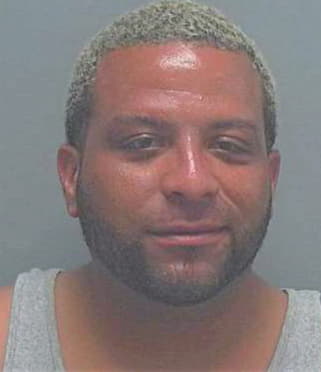 Suarez-Freytes Edgardo - Lee County, FL 