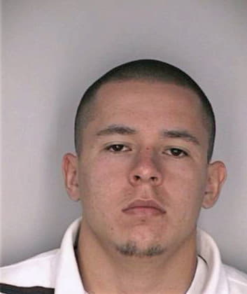 Botello Ivan - Hillsborough County, FL 