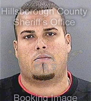 Hernandeznieves Alberto - Hillsborough County, FL 