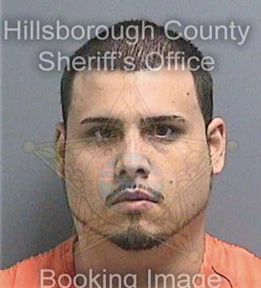 Urrego Brian - Hillsborough County, FL 