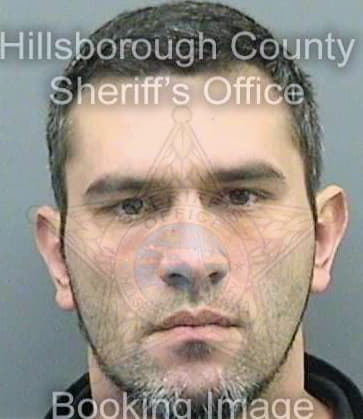 Bustos Camilo - Hillsborough County, FL 