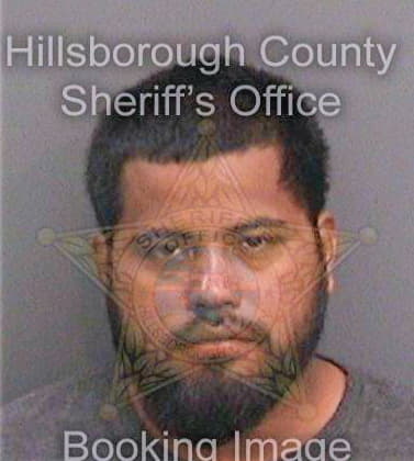 Cruzgomez Hector - Hillsborough County, FL 