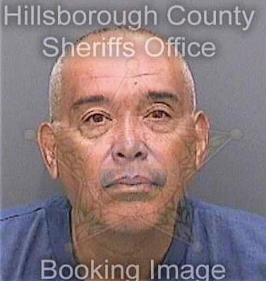 Pena Antoine - Hillsborough County, FL 