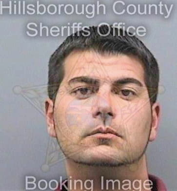 Lombardo Domenick - Hillsborough County, FL 